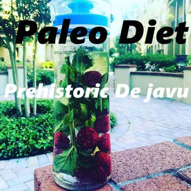 Paleo Diet and You